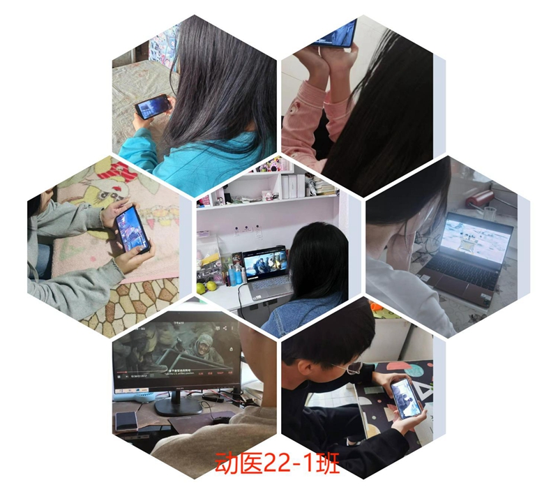 動醫22-1班圖片拚圖.jpg